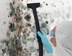 Best Commercial Mold Inspection in Monroe, UT